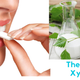 Illustration for article titled The Benefits Of Xylitol Intakeem/emem/em
